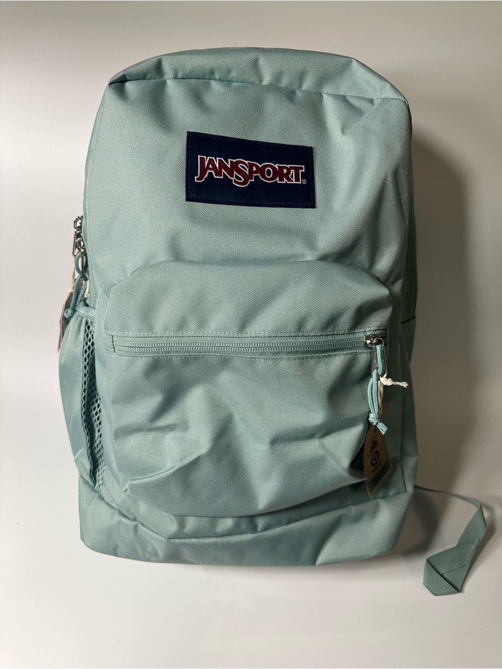 Jansport Backpack in Light Mint Green